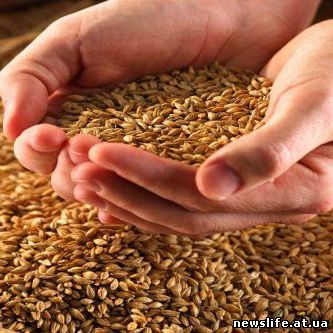 Из Украины вывезено почти 27 млн тонн зерна 